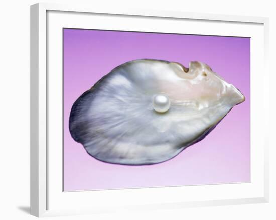 Pearl In a Shell-Lawrence Lawry-Framed Photographic Print