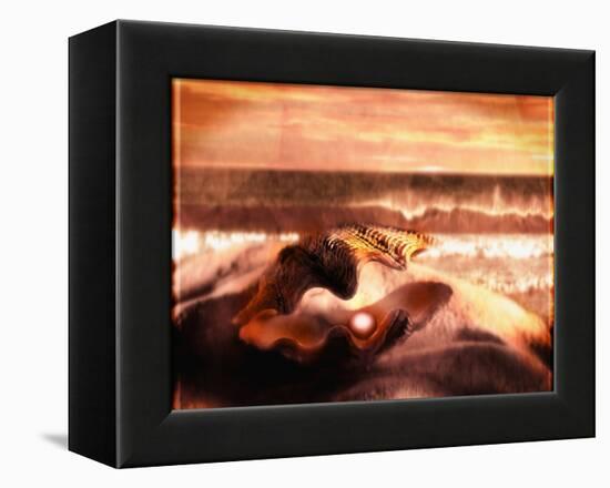 Pearl in Oyster-Colin Anderson-Framed Premier Image Canvas