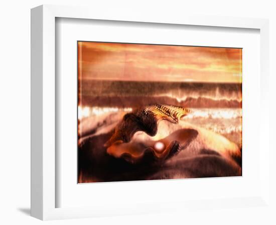 Pearl in Oyster-Colin Anderson-Framed Photographic Print