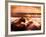 Pearl in Oyster-Colin Anderson-Framed Photographic Print