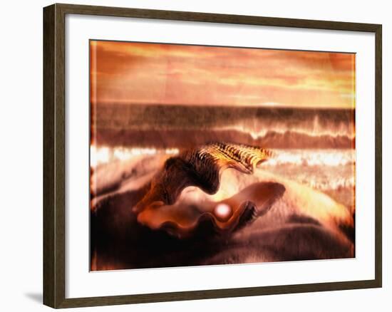 Pearl in Oyster-Colin Anderson-Framed Photographic Print