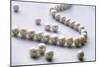 Pearl Necklace-Lawrence Lawry-Mounted Photographic Print