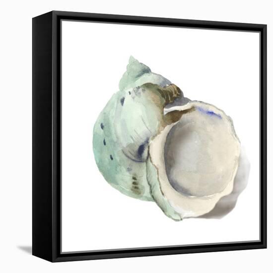 Pearl Shell-Aimee Wilson-Framed Stretched Canvas