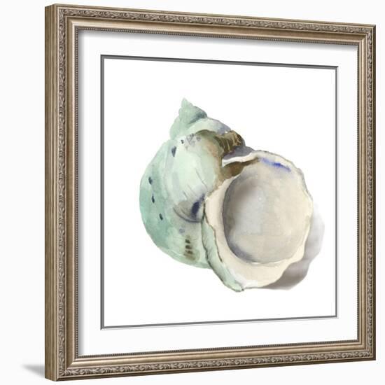 Pearl Shell-Aimee Wilson-Framed Art Print