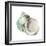 Pearl Shell-Aimee Wilson-Framed Art Print