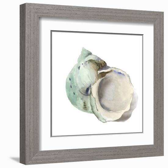 Pearl Shell-Aimee Wilson-Framed Art Print