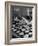 Pearl Sorters at Work Categorizing According to Size at Factory-Alfred Eisenstaedt-Framed Photographic Print