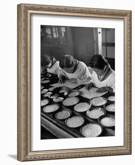 Pearl Sorters at Work Categorizing According to Size at Factory-Alfred Eisenstaedt-Framed Photographic Print
