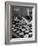 Pearl Sorters at Work Categorizing According to Size at Factory-Alfred Eisenstaedt-Framed Photographic Print