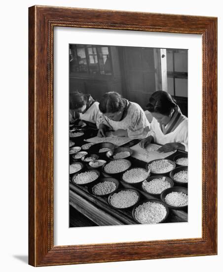 Pearl Sorters at Work Categorizing According to Size at Factory-Alfred Eisenstaedt-Framed Photographic Print