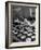 Pearl Sorters at Work Categorizing According to Size at Factory-Alfred Eisenstaedt-Framed Photographic Print