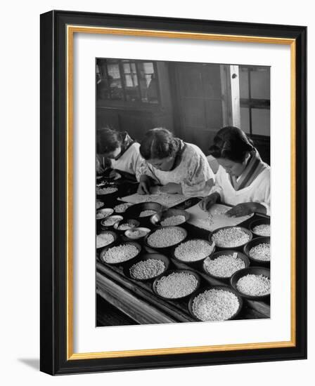 Pearl Sorters at Work Categorizing According to Size at Factory-Alfred Eisenstaedt-Framed Photographic Print