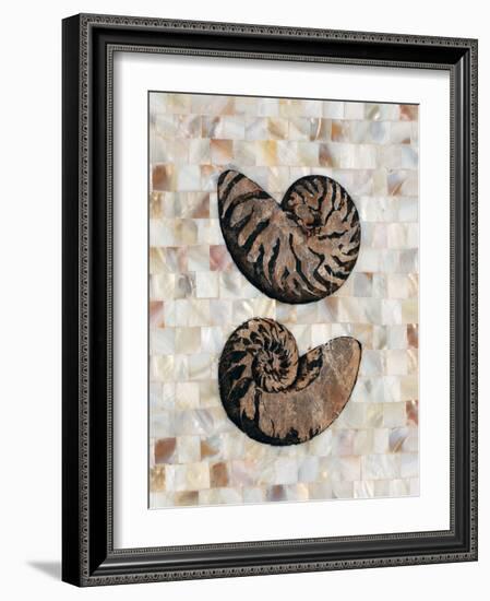 Pearlized Nautilus-Regina-Andrew Design-Framed Art Print