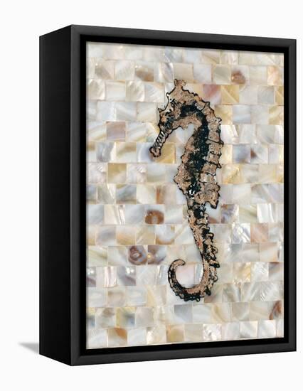 Pearlized Seahorse-Regina-Andrew Design-Framed Stretched Canvas