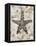 Pearlized Starfish-Regina-Andrew Design-Framed Stretched Canvas