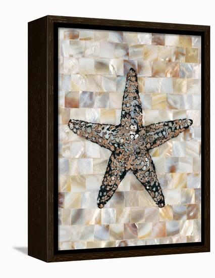 Pearlized Starfish-Regina-Andrew Design-Framed Stretched Canvas