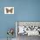 Pearly-Eye Butterfly (Lethe Portlandia), Insects-Encyclopaedia Britannica-Art Print displayed on a wall