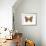 Pearly-Eye Butterfly (Lethe Portlandia), Insects-Encyclopaedia Britannica-Framed Art Print displayed on a wall