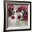 Pearly Peonies-Tania Bello-Framed Giclee Print