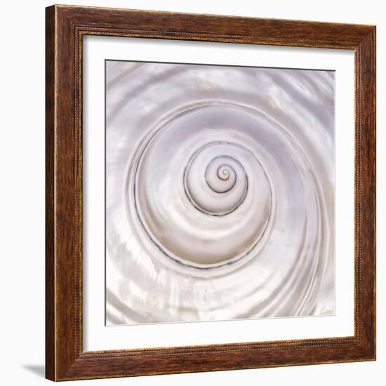 Pearly Shell-Mark Goodall-Framed Art Print