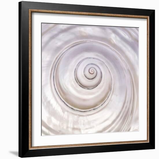 Pearly Shell-Mark Goodall-Framed Art Print