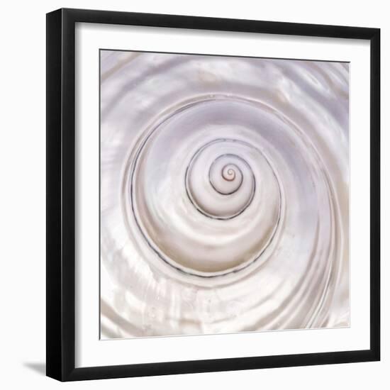 Pearly Shell-Mark Goodall-Framed Art Print