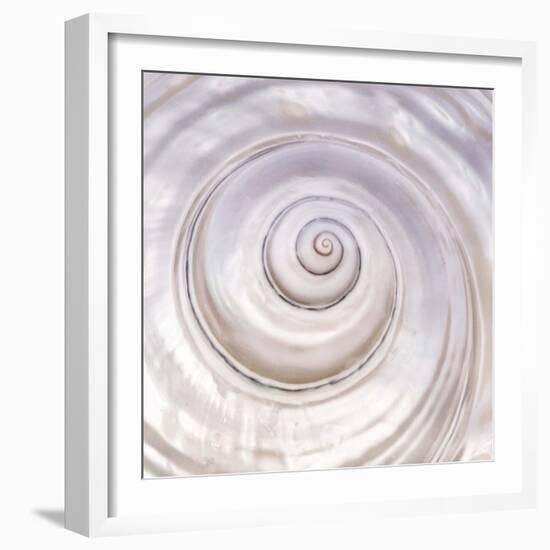 Pearly Shell-Mark Goodall-Framed Art Print
