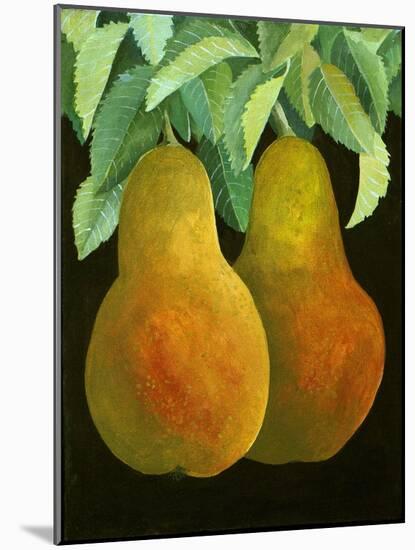 Pears, 2014-Jennifer Abbott-Mounted Giclee Print