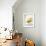 Pears in a Bowl Still Life-Steve Lupton-Framed Photographic Print displayed on a wall