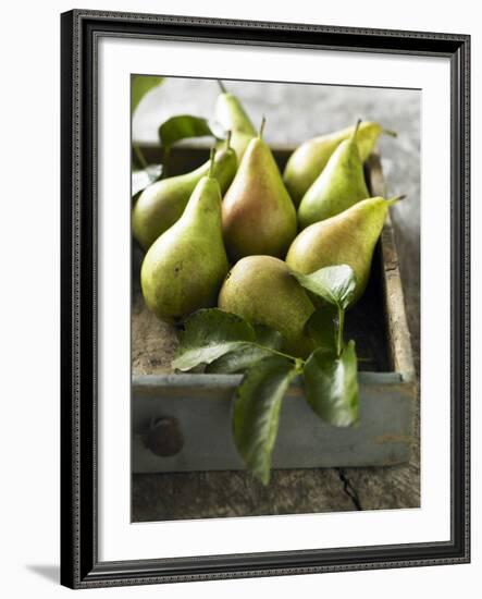 Pears in a Drawer-Clive Streeter-Framed Photographic Print