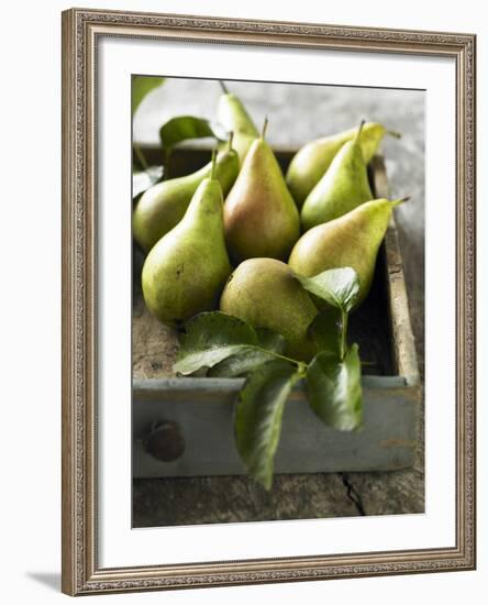 Pears in a Drawer-Clive Streeter-Framed Photographic Print