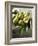 Pears in a Drawer-Clive Streeter-Framed Photographic Print