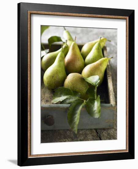 Pears in a Drawer-Clive Streeter-Framed Photographic Print