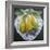 Pears on a Plate-Jennifer Abbott-Framed Giclee Print