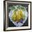 Pears on a Plate-Jennifer Abbott-Framed Giclee Print