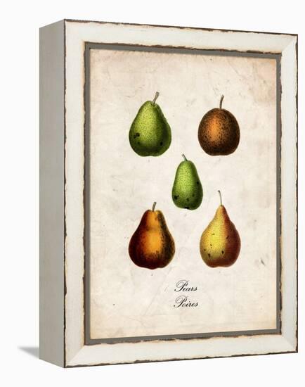 Pears-null-Framed Stretched Canvas