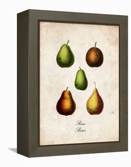 Pears-null-Framed Stretched Canvas