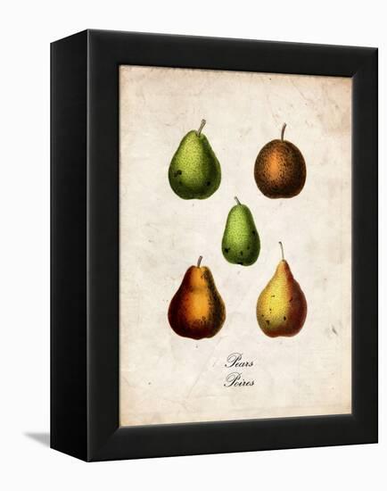 Pears-null-Framed Stretched Canvas