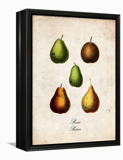 Pears-null-Framed Stretched Canvas