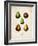 Pears-null-Framed Art Print