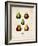 Pears-null-Framed Art Print