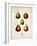 Pears-null-Framed Premium Giclee Print