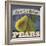 Pears-Fiona Stokes-Gilbert-Framed Giclee Print