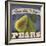 Pears-Fiona Stokes-Gilbert-Framed Giclee Print