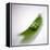 Peas In a Pod-Cristina-Framed Premier Image Canvas