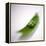 Peas In a Pod-Cristina-Framed Premier Image Canvas