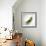 Peas In a Pod-Cristina-Framed Premium Photographic Print displayed on a wall