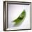 Peas In a Pod-Cristina-Framed Premium Photographic Print