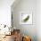 Peas In a Pod-Cristina-Framed Premium Photographic Print displayed on a wall