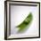 Peas In a Pod-Cristina-Framed Premium Photographic Print